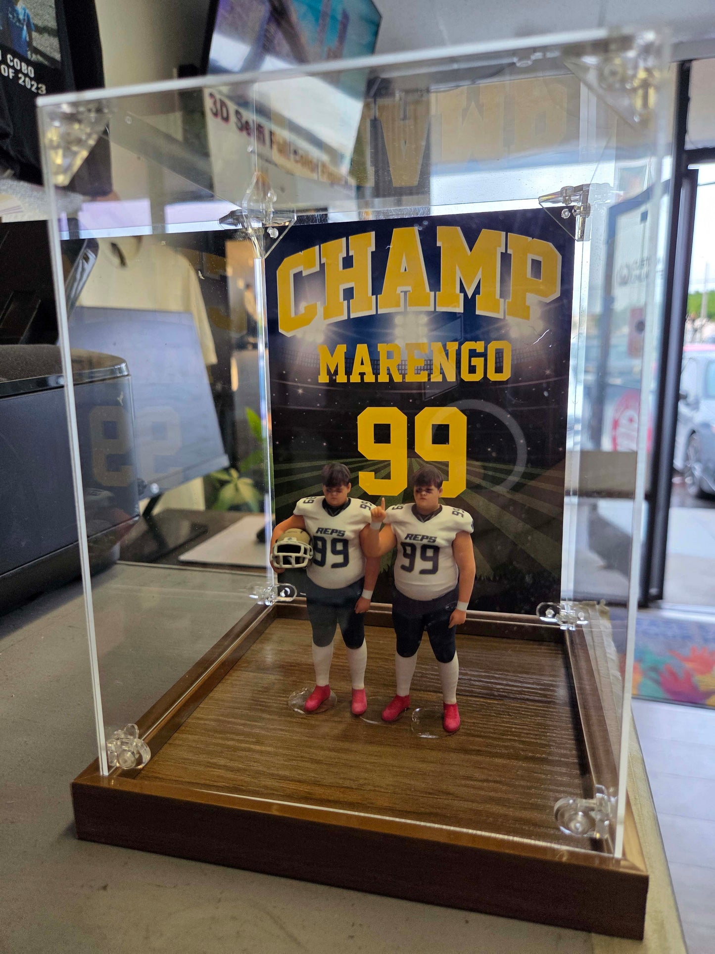 Clear Display Case